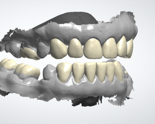 waxup 3d Mould